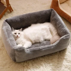 Cats Bed  Kitten Cushions