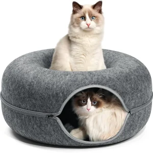 Cat Tunnel