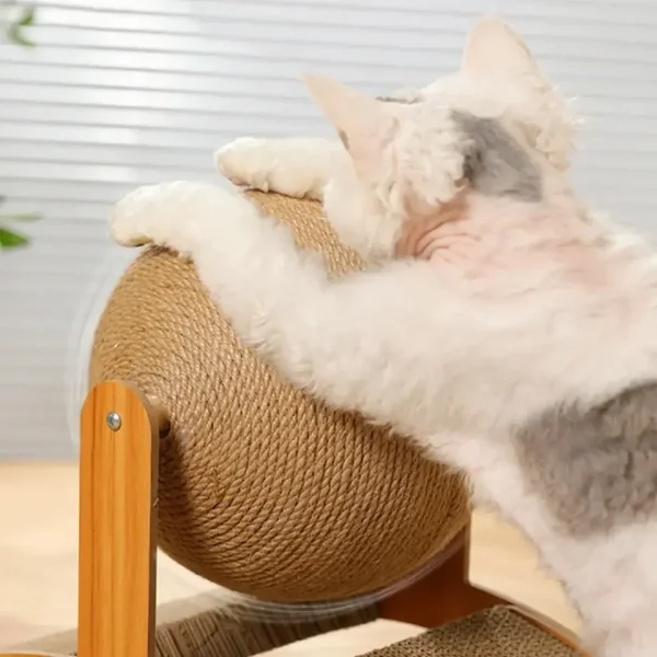 2 In 1 Cat Scratching Ball - Image 5