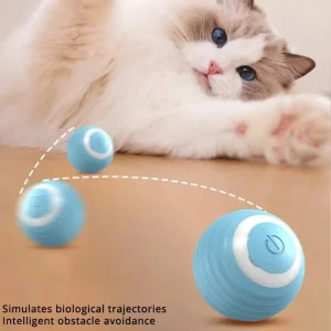 Magic Ball Toys for Cat