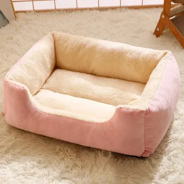 Cats Bed  Kitten Cushions - Image 3