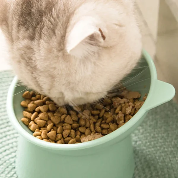 Cat Water Bowl - Image 3